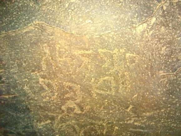 الشرعي الحمة 1